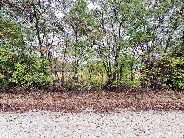 TBD County Road 3409, Lone Oak, TX 75453