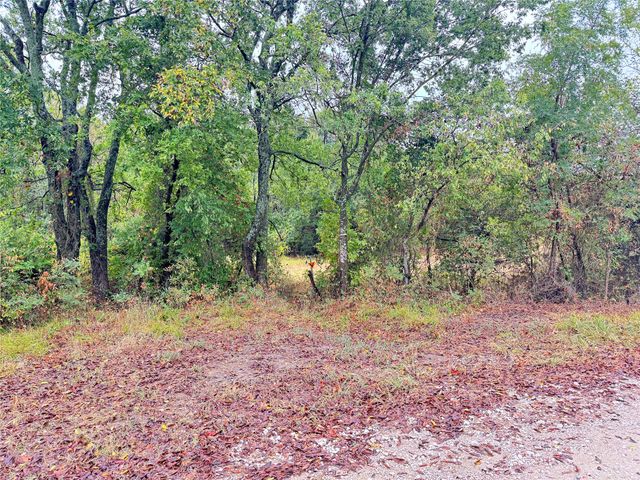 TBD County Road 3409, Lone Oak, TX 75453