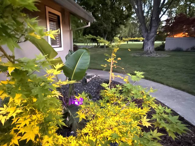 3175 Swallows Nest Dr, Sacramento, CA 95833