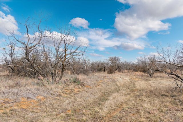 14202 County Road 421, May, TX 76857