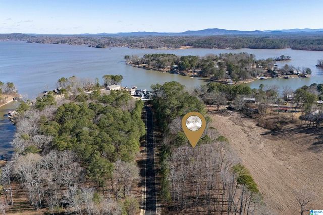 110 COVES DRIVE, Vincent, AL 35178