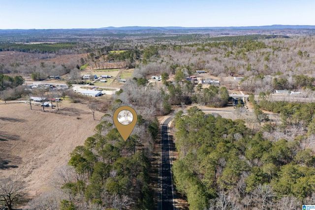 110 COVES DRIVE, Vincent, AL 35178