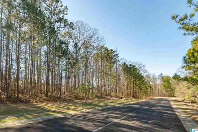 110 COVES DRIVE, Vincent, AL 35178