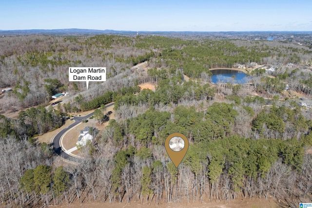 110 COVES DRIVE, Vincent, AL 35178