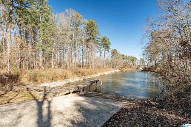 110 COVES DRIVE, Vincent, AL 35178