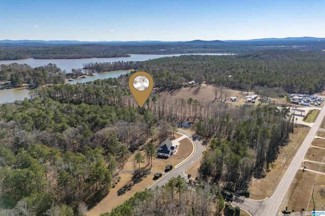 110 COVES DRIVE, Vincent, AL 35178