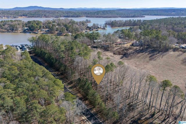 110 COVES DRIVE, Vincent, AL 35178