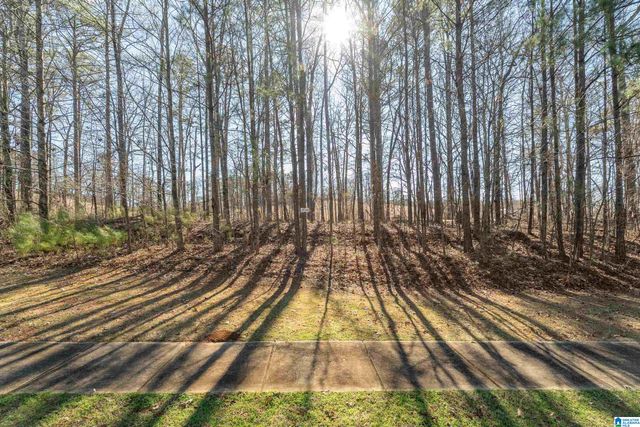 110 COVES DRIVE, Vincent, AL 35178