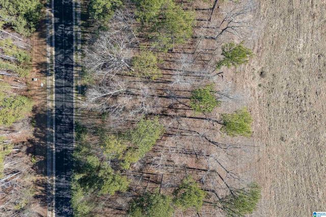 110 COVES DRIVE, Vincent, AL 35178