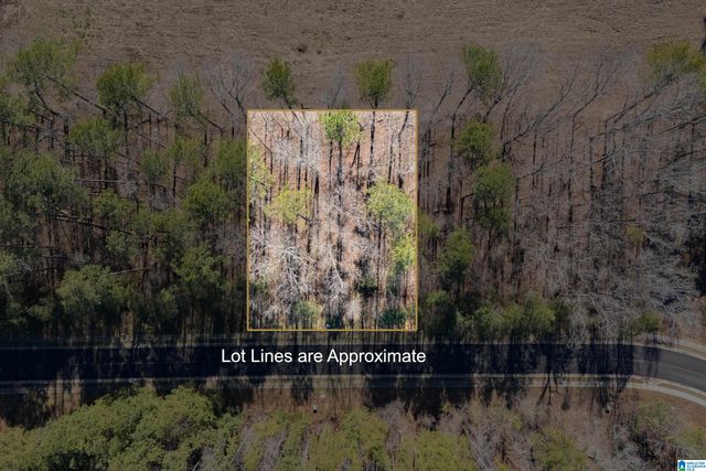 110 COVES DRIVE, Vincent, AL 35178