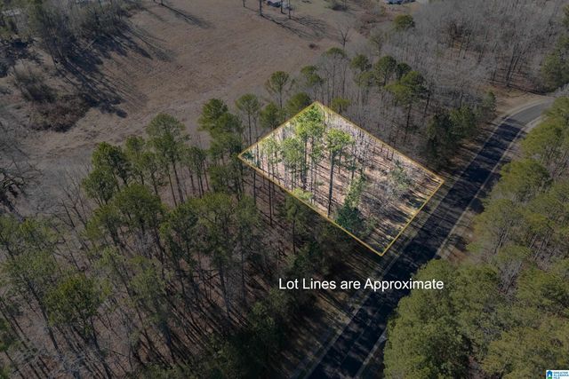 110 COVES DRIVE, Vincent, AL 35178