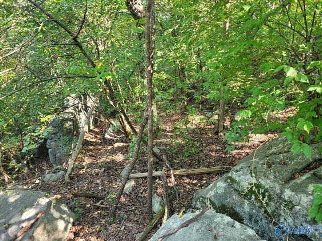 7609 Foxfire Drive SE, Huntsville, AL 35802