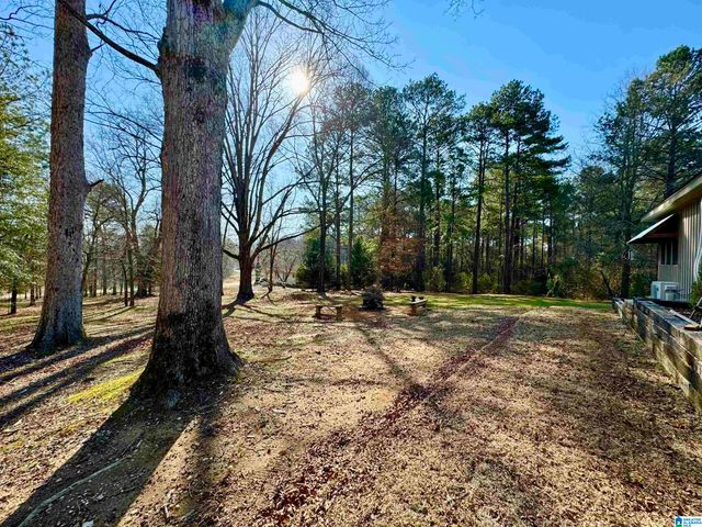 555 FAWN LANE, Centreville, AL 35042