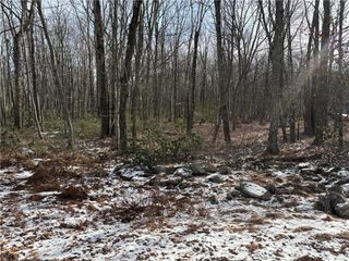 Lot B11 W Clarkes Lane, Penn Forest Township, PA 18229
