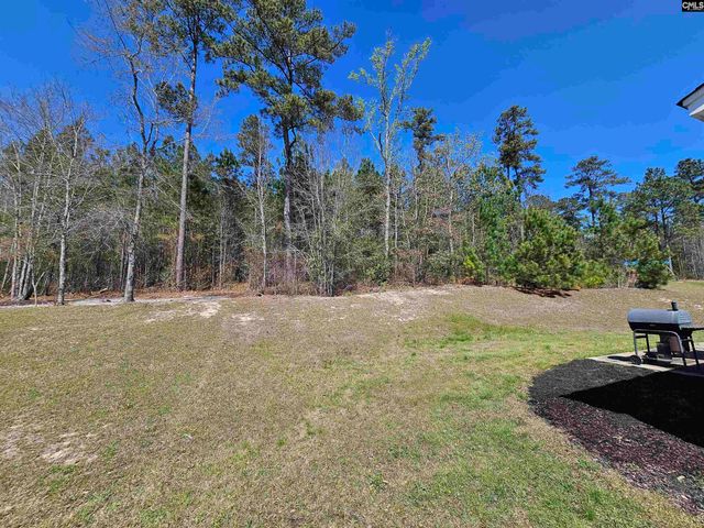 114 Tall Pines Road, Gaston, SC 29053