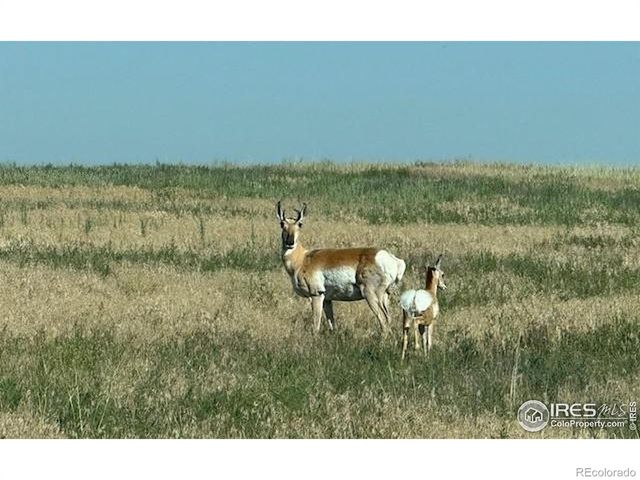 3 TBD Lot B FFD25-0006 WCR 15, Carr, CO 80612