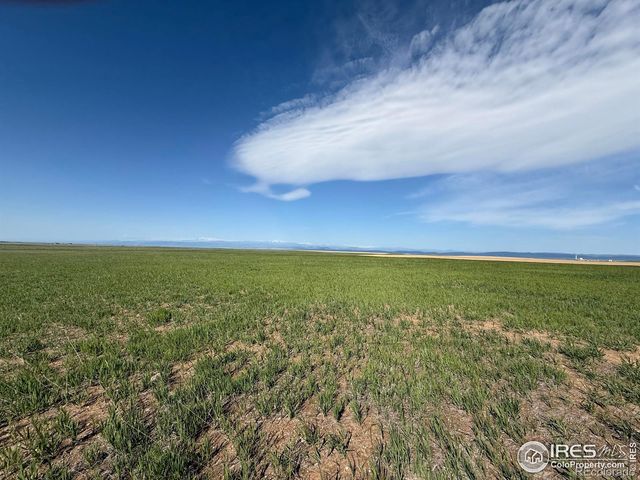 3 TBD Lot B FFD25-0006 WCR 15, Carr, CO 80612