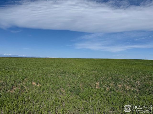 3 TBD Lot B FFD25-0006 WCR 15, Carr, CO 80612