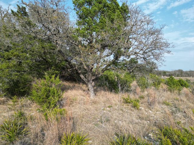 104 Scotty LN, Liberty Hill, TX 78642