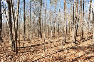 Lot 20 Jewel TRL, Moneta, VA 24121