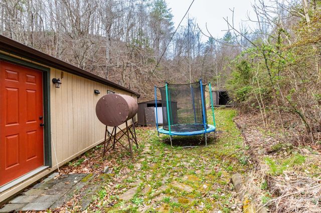 294 Ball Drive, Marshall, NC 28753