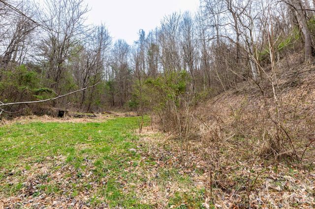 294 Ball Drive, Marshall, NC 28753