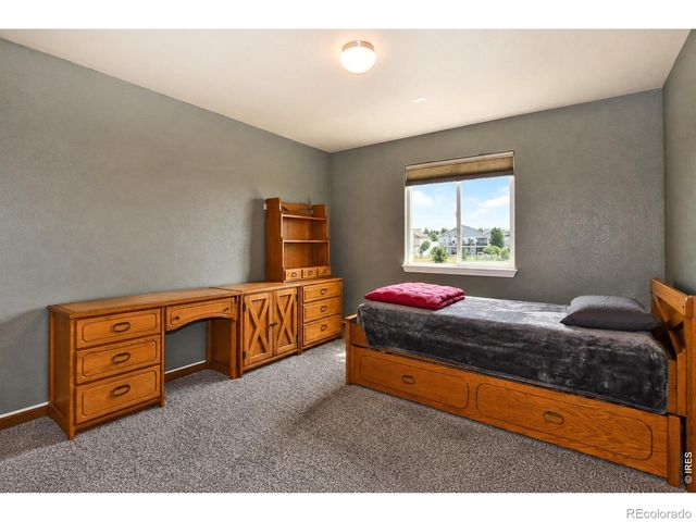 5847 Osbourne Court, Windsor, CO 80550