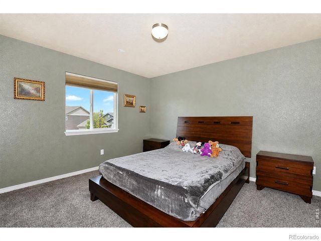 5847 Osbourne Court, Windsor, CO 80550