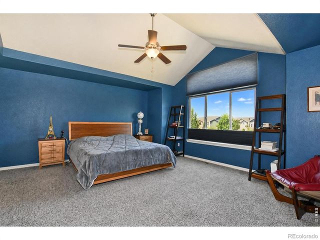 5847 Osbourne Court, Windsor, CO 80550