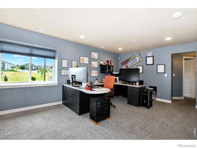 5847 Osbourne Court, Windsor, CO 80550