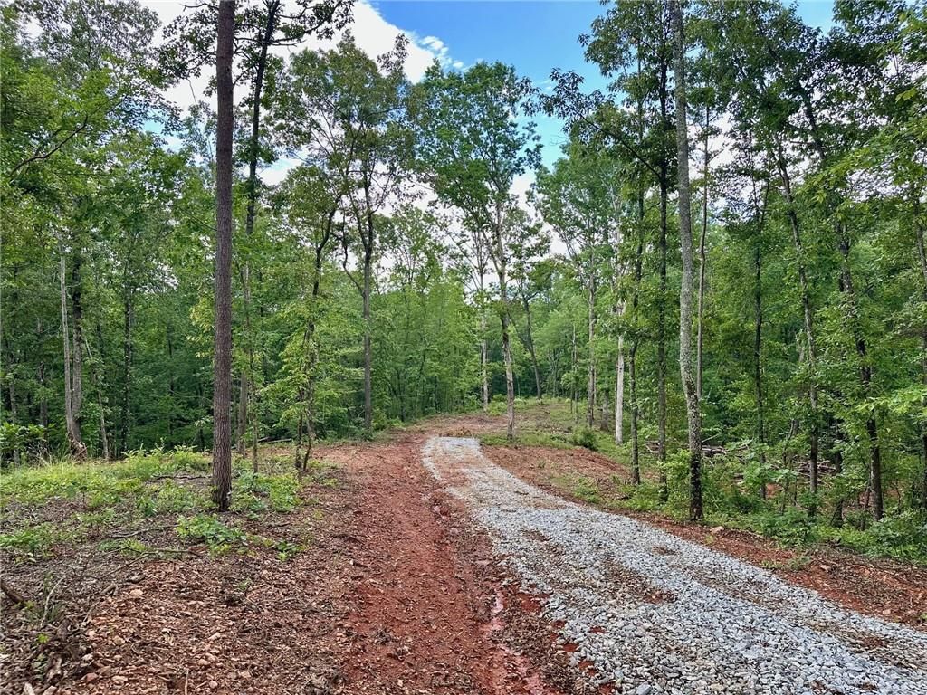 4.09 Yancy Drive, Dawsonville, GA 30534