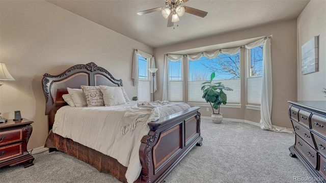 10339 Peach Blossom Trail, Colorado Springs, CO 80920