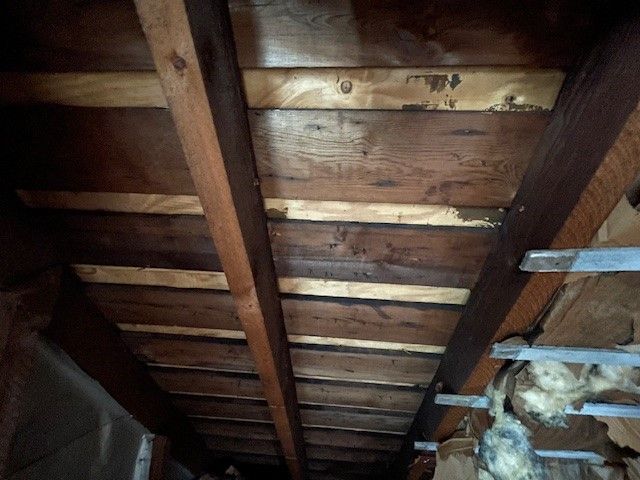 53 Congress Avenue, Rochester, NY 14611