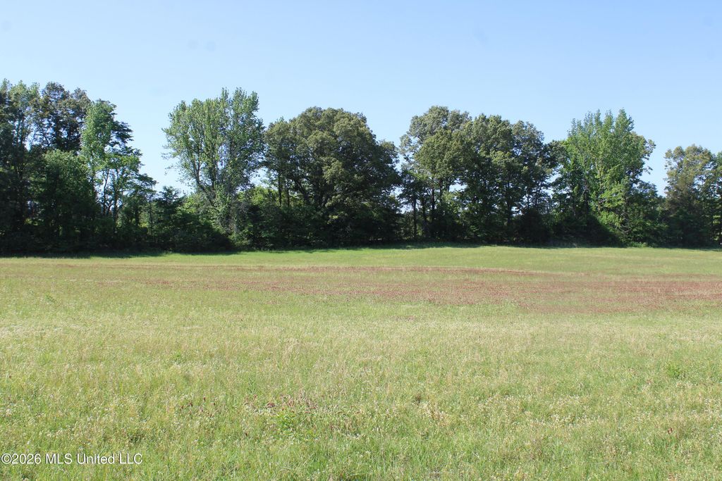7300 Dean Road, Lake Cormorant, MS 38641 — exterior