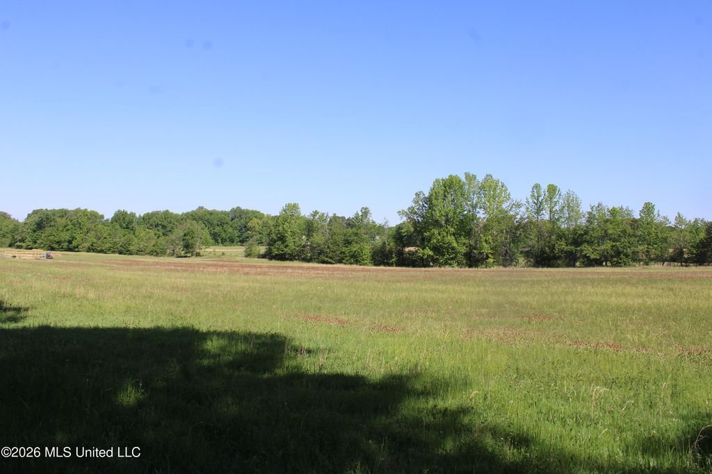 7300 Dean Road, Lake Cormorant, MS 38641 — photo 2