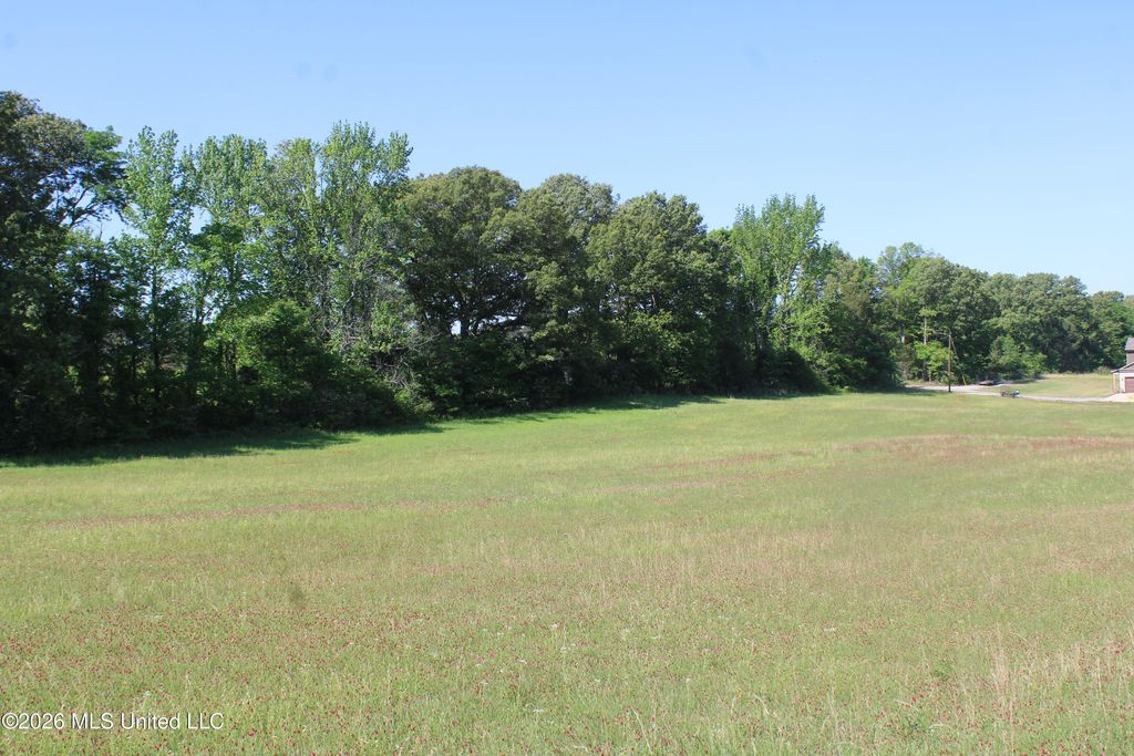 7300 Dean Road, Lake Cormorant, MS 38641 — photo 3
