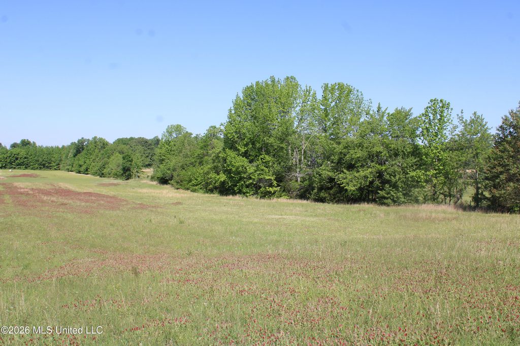 7300 Dean Road, Lake Cormorant, MS 38641 — photo 4