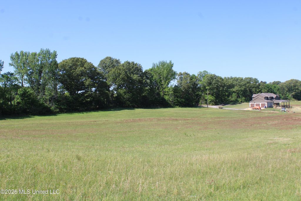 7300 Dean Road, Lake Cormorant, MS 38641 — photo 5
