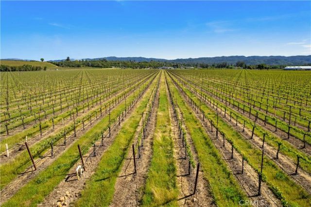 1650 Bell Hill, Kelseyville, CA 95451