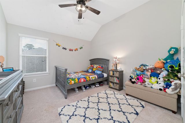 12043 Tree Top Hills Lane, Tomball, TX 77377