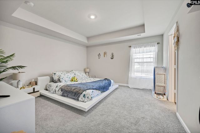 706 Common Widgen Way, Hopkins, SC 29061