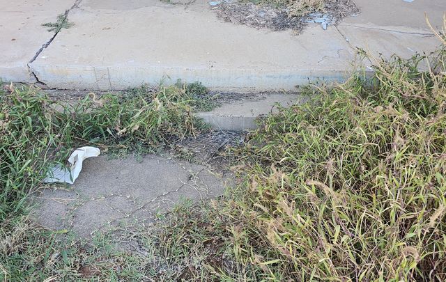 1704 Avenue O, Lubbock, TX 79401