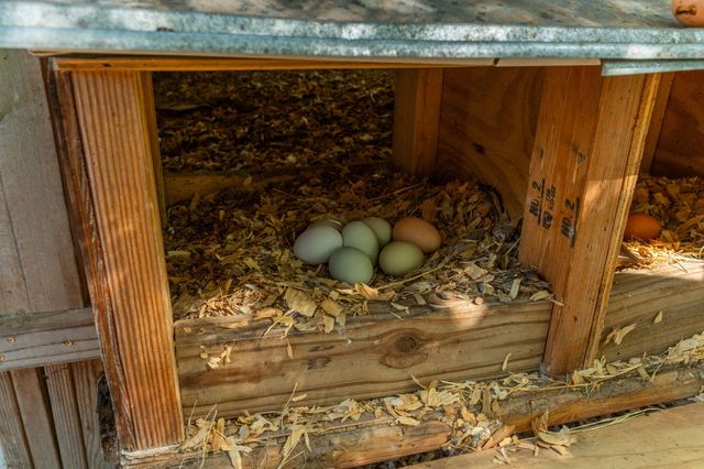 1827 Waterway Drive, Baker, FL 32531