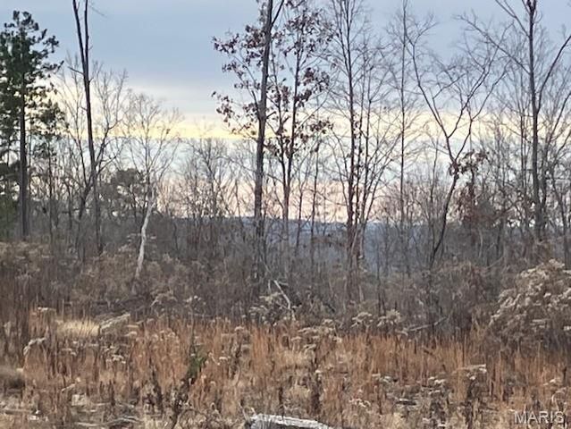 182 Madison CR 410, Fredericktown, MO 63645