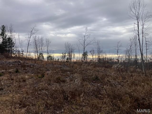 182 Madison CR 410, Fredericktown, MO 63645