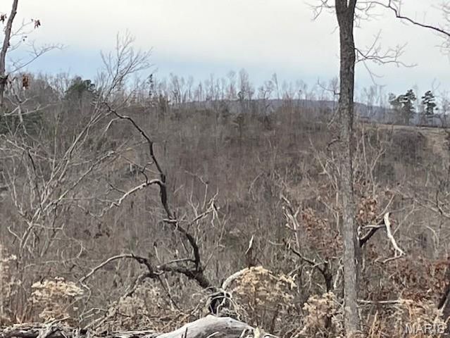 182 Madison CR 410, Fredericktown, MO 63645