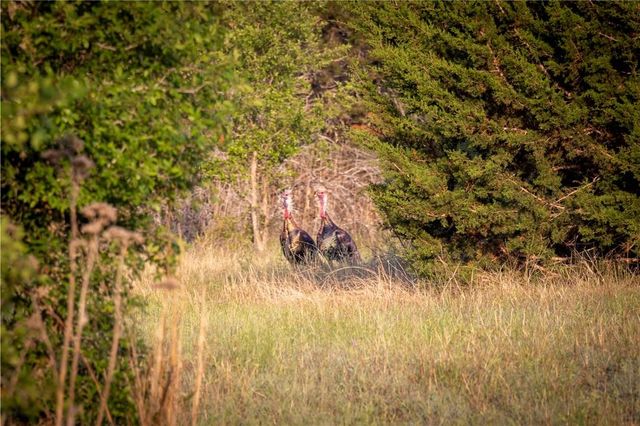 Lot 37-A Lost Canyon CRK, Bertram, TX 78605