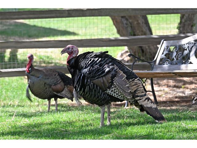 5951 Thunder Hill Rd, Parker, CO 80134