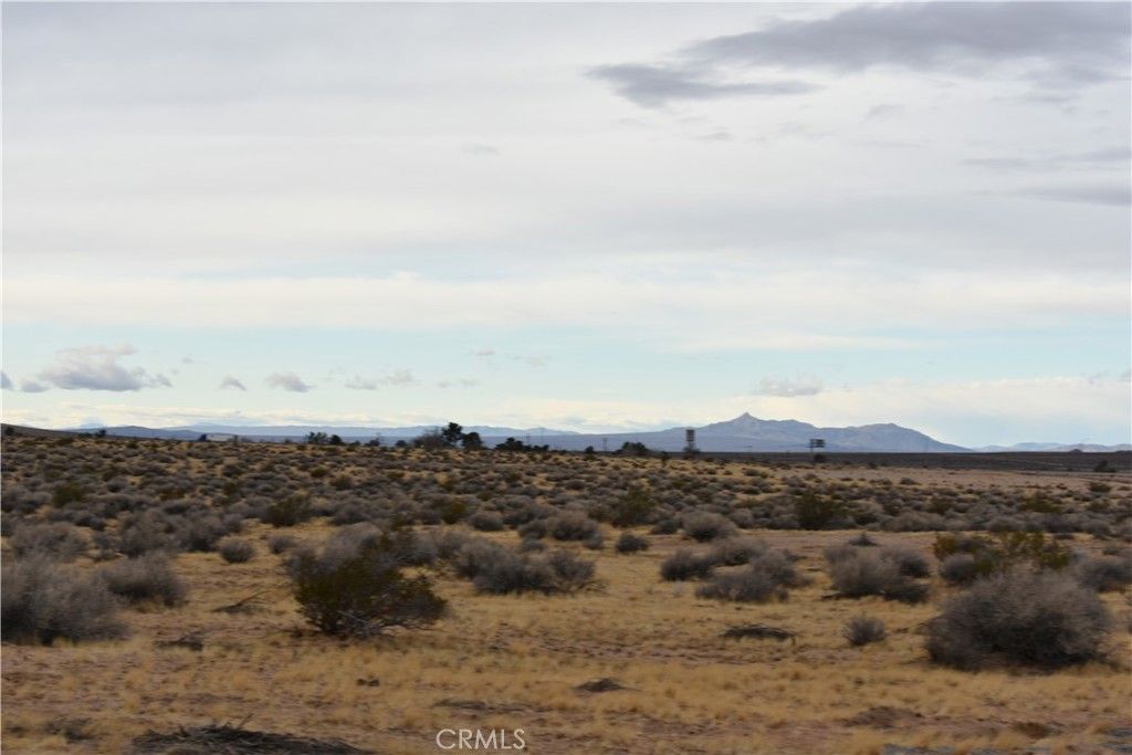 0 APN 0420-261-72-0000, Helendale, CA 92342