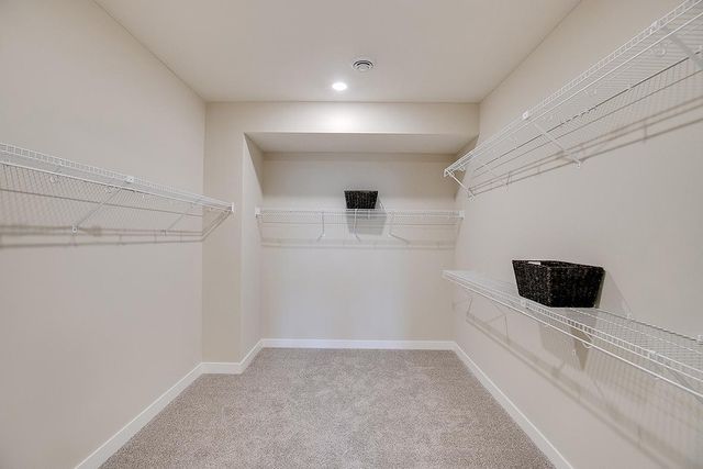 1513 Clover Preserve Way, Chaska, MN 55318